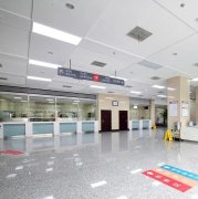 带来极致的视觉享受